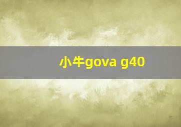 小牛gova g40